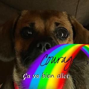 Meet your Posher, Mj